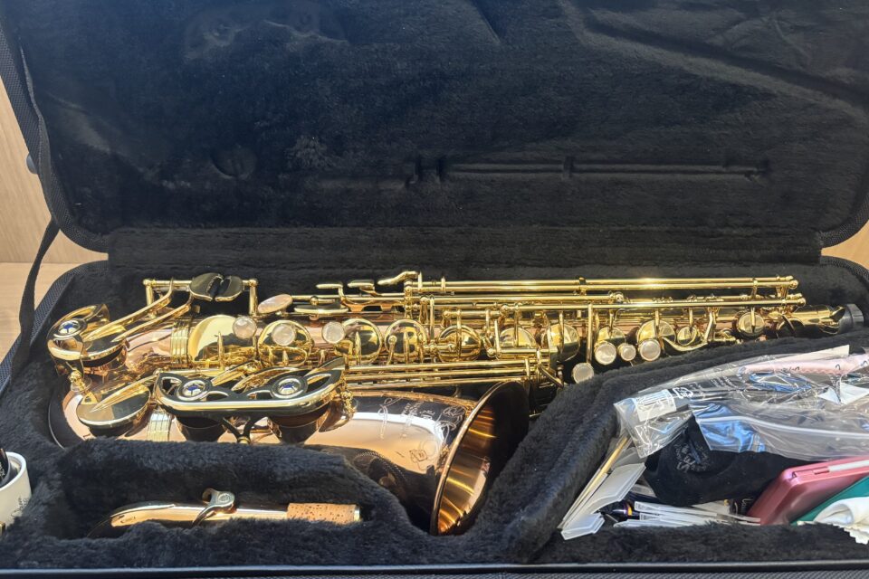 ヤナギサワ<br>アルトサックス<br>A-WO20